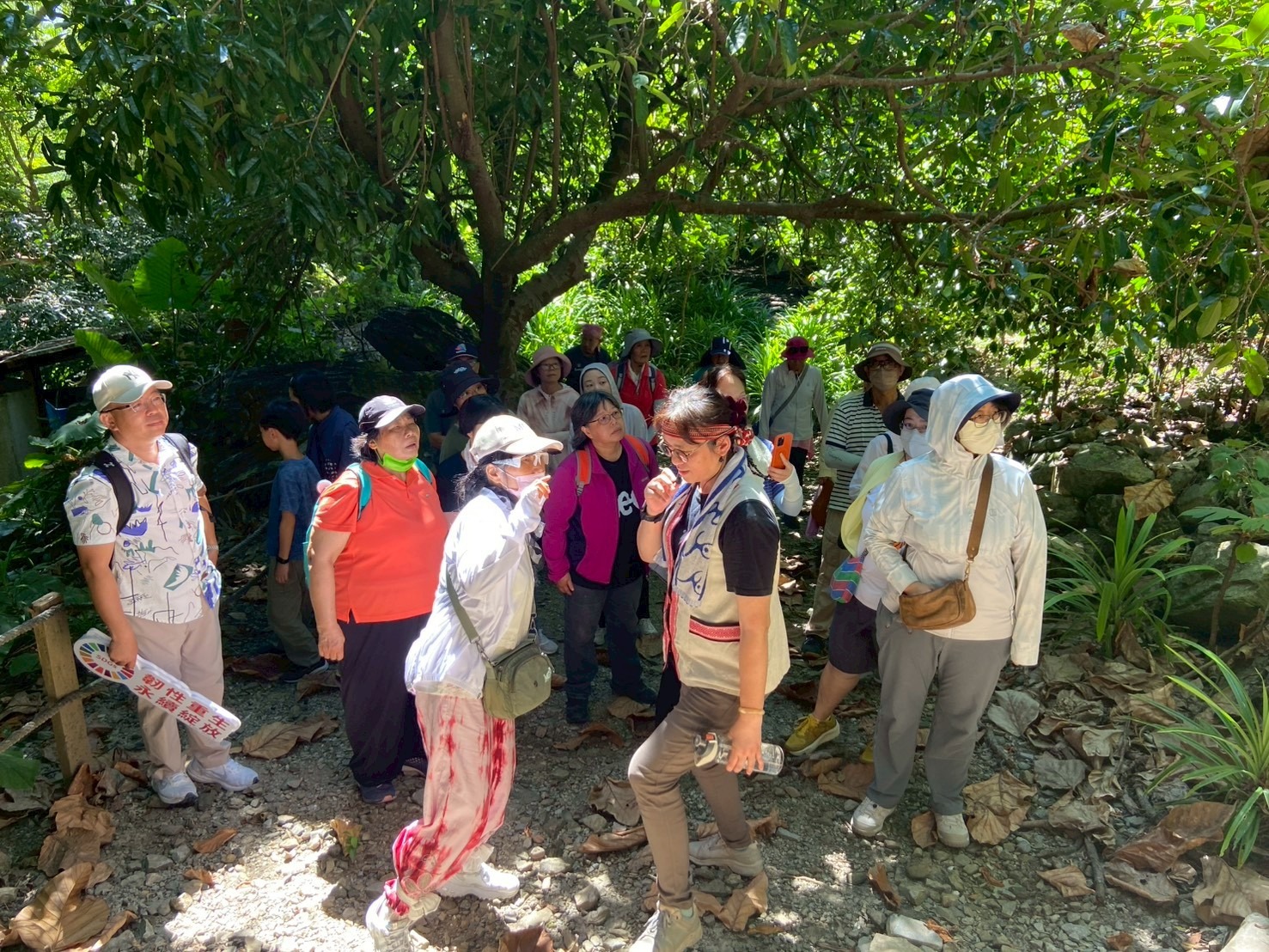 - 報新聞 Mega News 民眾走進部落山林場域,透過觀察漂流木、植被與傳統知識,認識文化與自然如何在地共生。